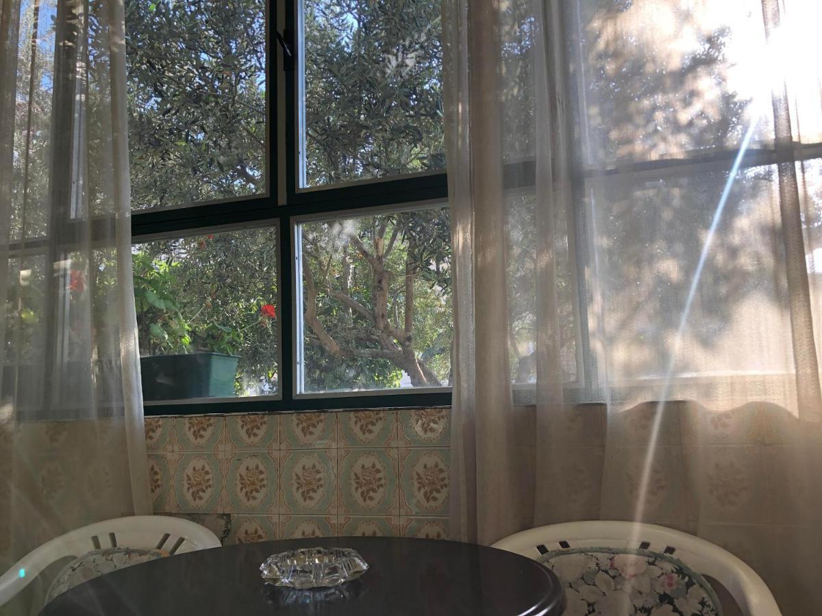 Garden Apartman Spalato Esterno foto